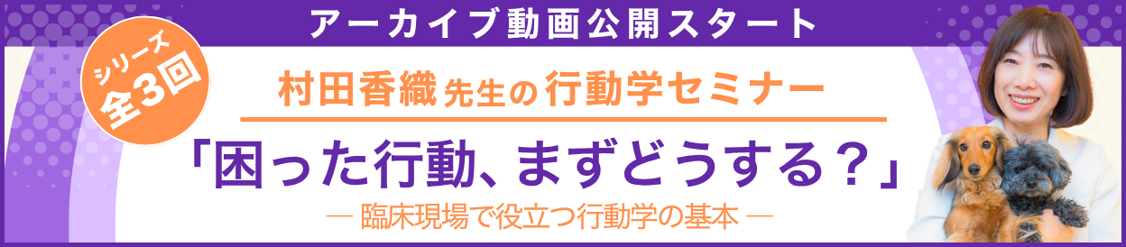 動画アーカイブを公開しました