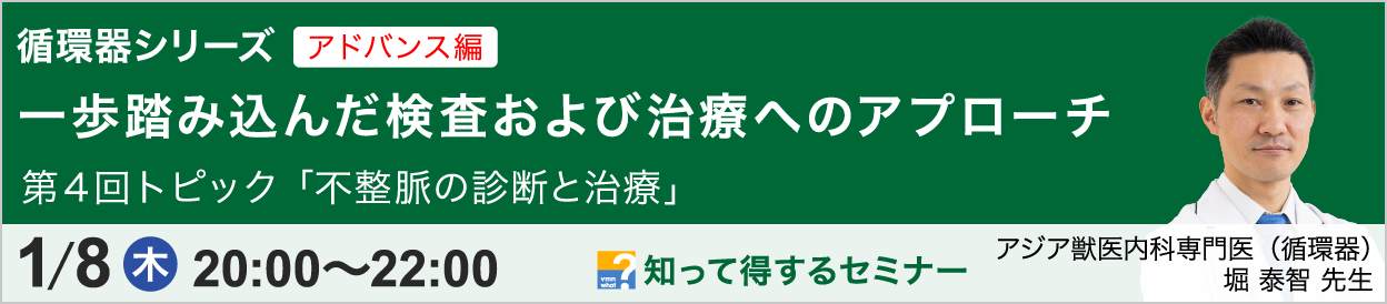 堀 泰智先生の循環器シリーズ アドバンス編 第4回 開催