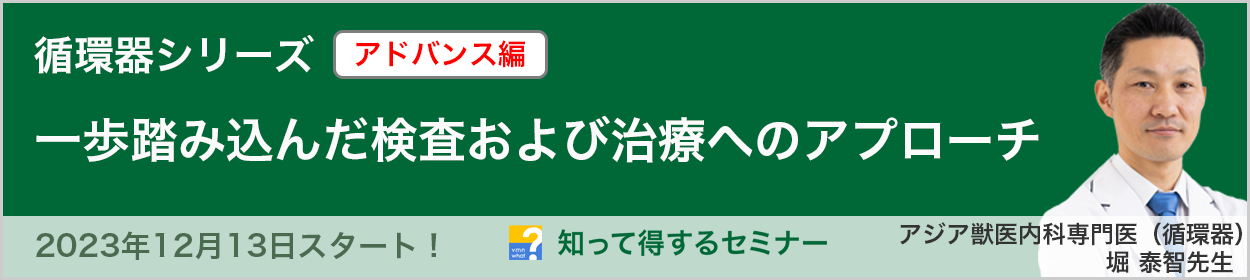 知って得するセミナー　堀 泰智先生の循環器シリーズ「一歩踏み込んだ検査および治療へのアプローチ」