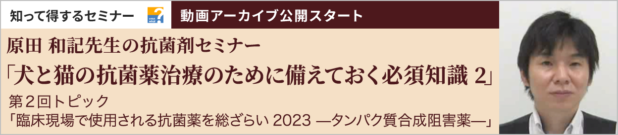 動画アーカイブを公開しました