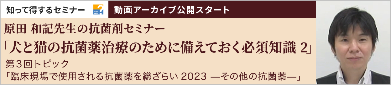 動画アーカイブを公開しました