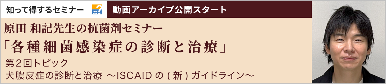 動画アーカイブを公開しました