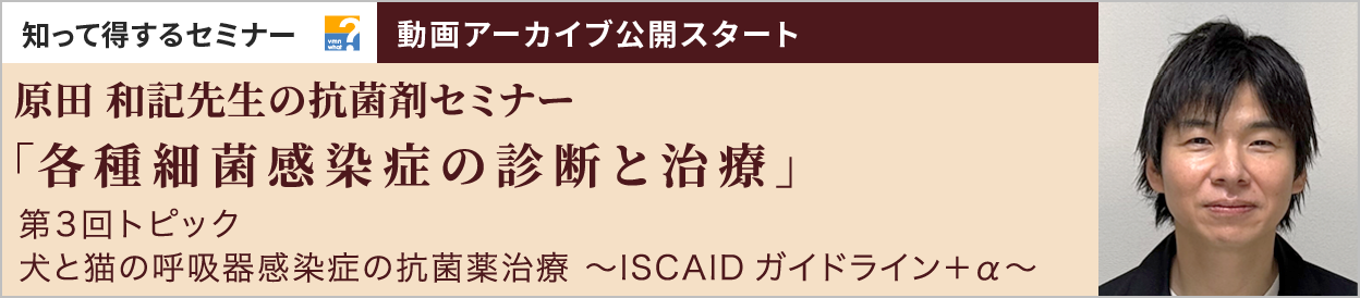 動画アーカイブを公開しました