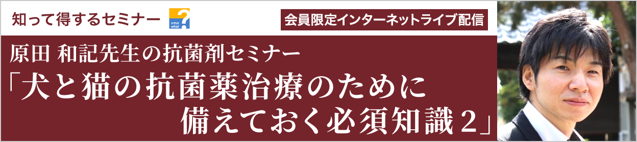 知って得するセミナー 原田 和記先生による抗菌剤セミナー「犬と猫の抗菌薬治療のために備えておく必須知識」