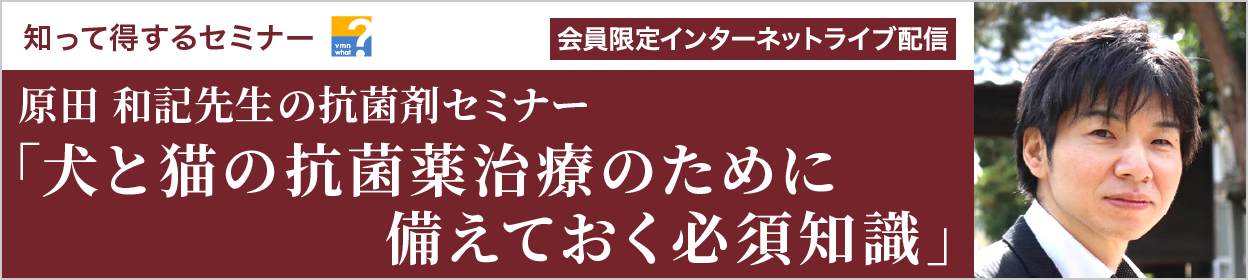 知って得するセミナー 原田 和記先生による抗菌剤セミナー「犬と猫の抗菌薬治療のために備えておく必須知識」