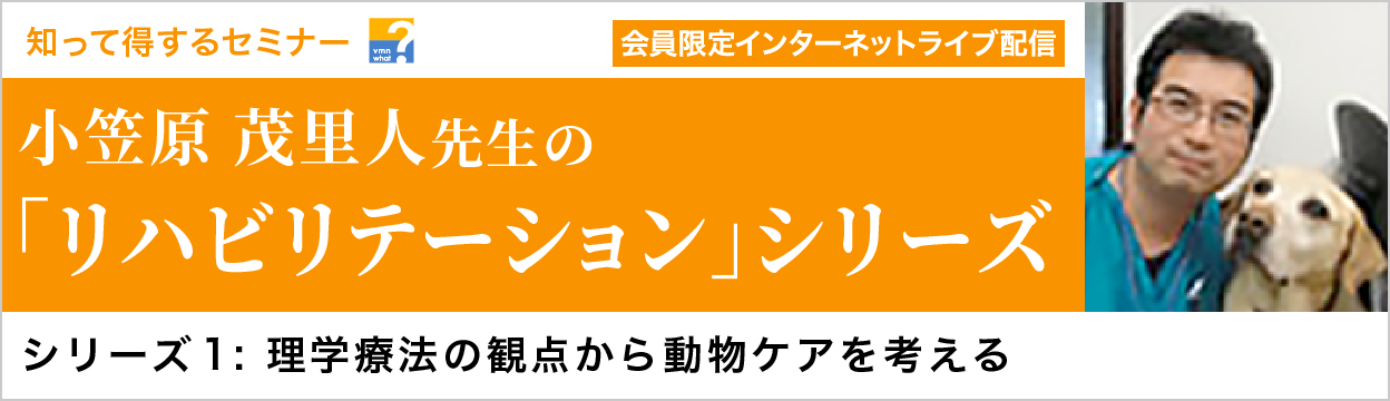 シリーズ1: 理学療法の観点から動物ケアを考える