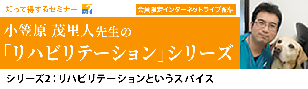 シリーズ2: リハビリテーションというスパイス