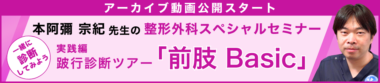 動画アーカイブを公開しました