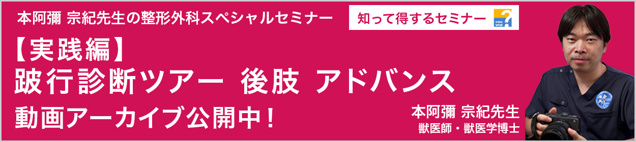 知って得するセミナー　本阿彌 宗紀先生の整形外科シリーズ「手術しないからこそ知っておくこと！手術するなら必ず知っておくこと！」