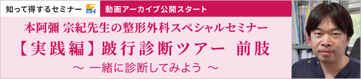 【実践編】跛行診断ツアー 前肢