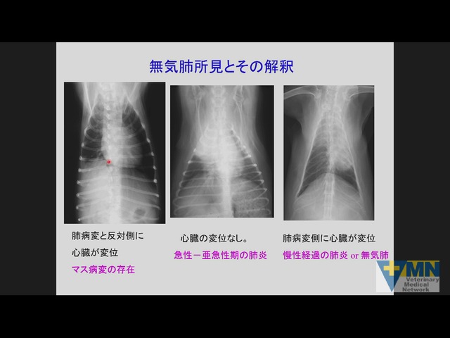 VMN セミナー情報 知って得するセミナー | Veterinary Medical Network