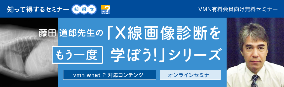 藤田 道郎先生の「Ｘ線画像診断をもう一度学ぼう！」シリーズ