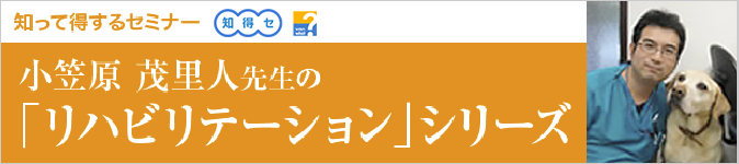 小笠原茂里人先生の「リハビリテーション」シリーズ